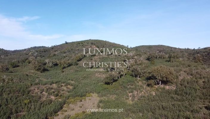 Image No.8-Terre à vendre à Silves