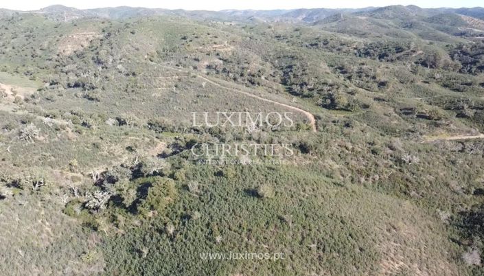 Image No.10-Terre à vendre à Silves