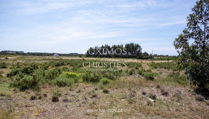 Image No.17-Terre à vendre à Aljezur