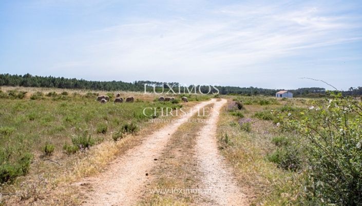 Image No.24-Terre à vendre à Aljezur