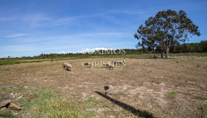 Image No.8-Terre à vendre à Aljezur