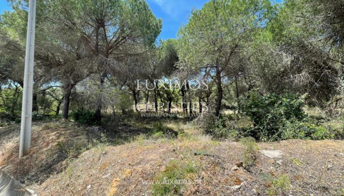 Image No.3-Terre à vendre à Quinta do Lago