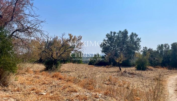 Image No.5-Terre à vendre à Faro City