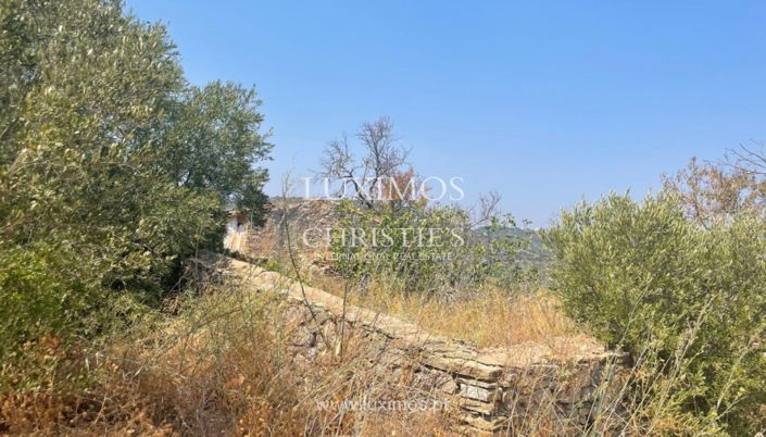 Image No.7-Terre à vendre à Faro City