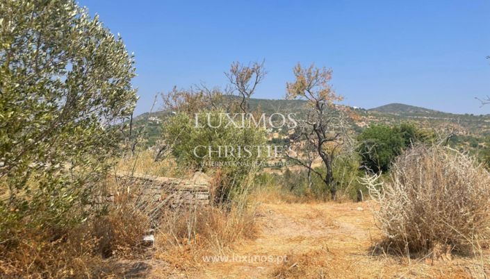 Image No.9-Terre à vendre à Faro City