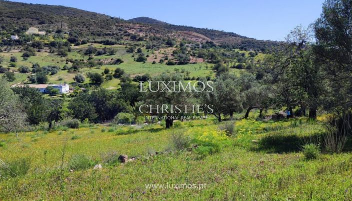 Image No.10-Terre à vendre à Faro City