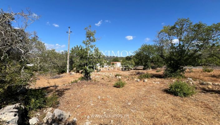 Image No.3-Terre à vendre à Loule
