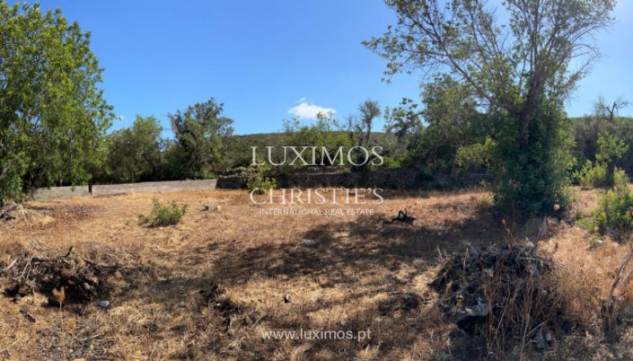 Image No.5-Terre à vendre à Loule