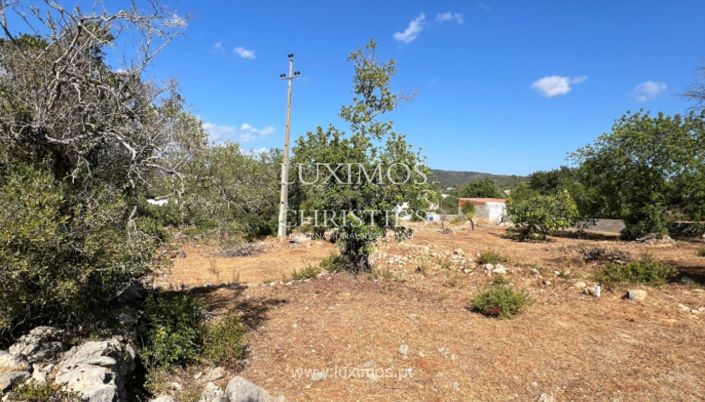 Image No.6-Terre à vendre à Loule