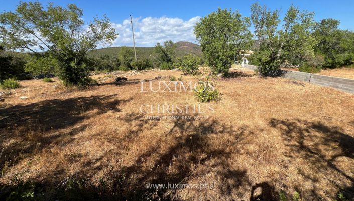 Image No.8-Terre à vendre à Loule