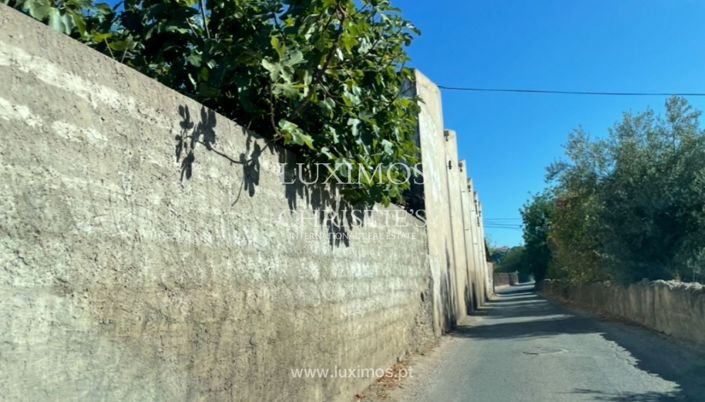 Image No.5-Terre à vendre à Sao Bras de Alportel