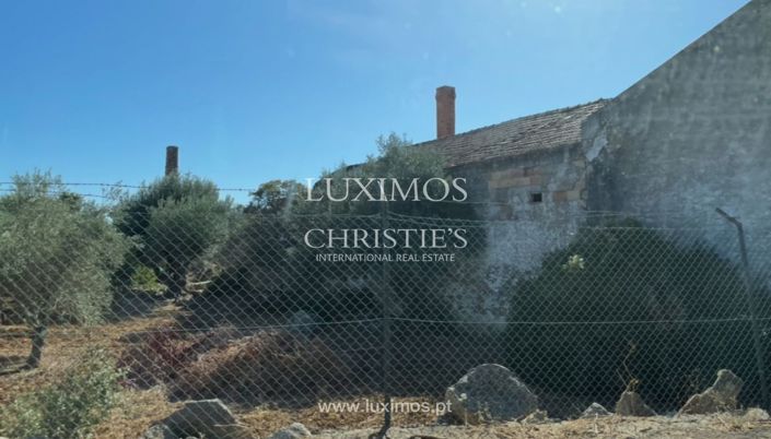 Image No.6-Terre à vendre à Sao Bras de Alportel