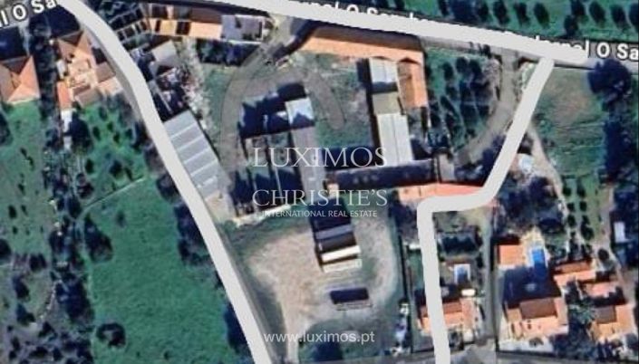 Image No.7-Terre à vendre à Sao Bras de Alportel