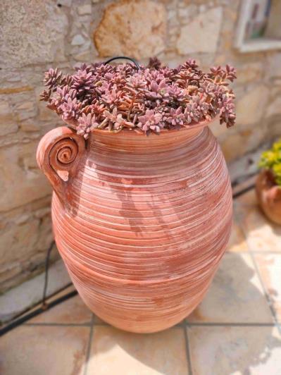 Image No.6-Villa / Détaché de 3 chambres à vendre à Polis