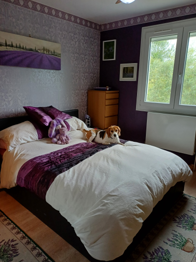 Image No.23-4 Bed House/Villa for sale