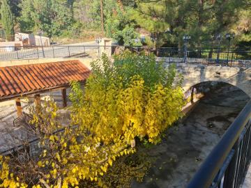 20221130_084422_resized_1