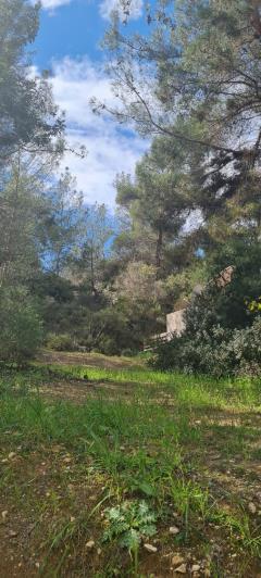 Image No.5-4 Bed Villa / Detached for sale