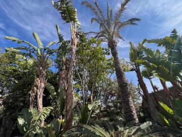 fuerteventura-estate-agent-house-forsale-inmobiliaria-immobilien-agence-immobiliere-immobiliare-julien-1