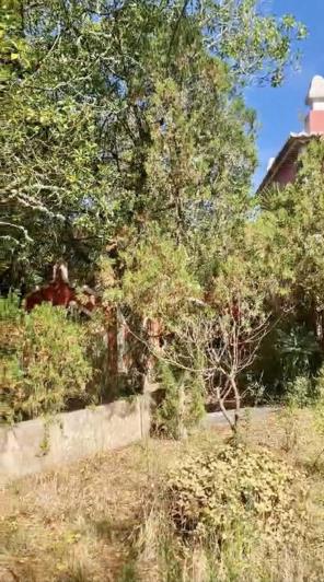 Image No.13-Propriété de pays de 4 chambres à vendre à Sintra