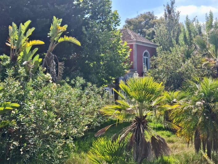 Image No.3-Propriété de pays de 4 chambres à vendre à Sintra