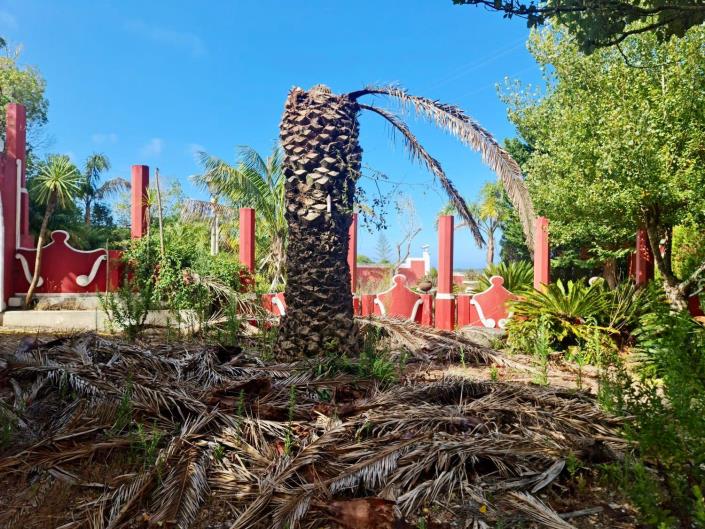 Image No.19-Propriété de pays de 4 chambres à vendre à Sintra