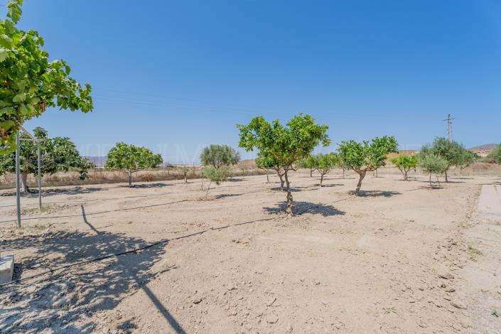 Image No.29-Cortijo de 2 chambres à vendre à Cuevas del Almanzora