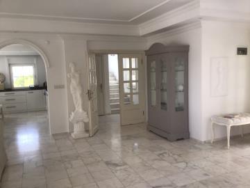 WhatsApp-Image-2023-04-06-at-11-00-50