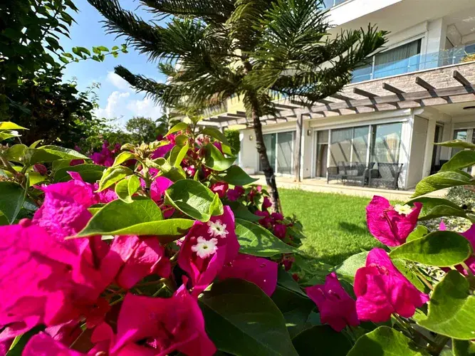 Image No.19-2 Bed Apartment for sale