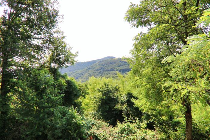 Image No.46-Maison de campagne de 5 chambres à vendre à Tregnago