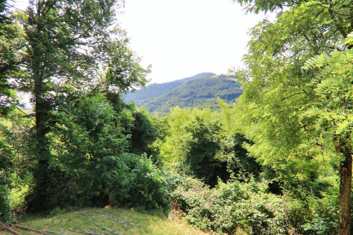 Image No.47-Maison de campagne de 5 chambres à vendre à Tregnago