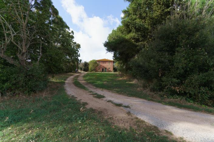 Image No.6-Maison de campagne de 3 chambres à vendre à Magliano in Toscana