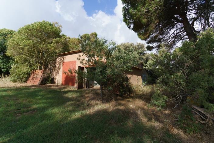 Image No.15-Maison de campagne de 3 chambres à vendre à Magliano in Toscana