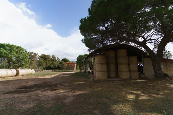 Image No.48-Maison de campagne de 3 chambres à vendre à Magliano in Toscana