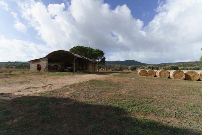 Image No.51-Maison de campagne de 3 chambres à vendre à Magliano in Toscana