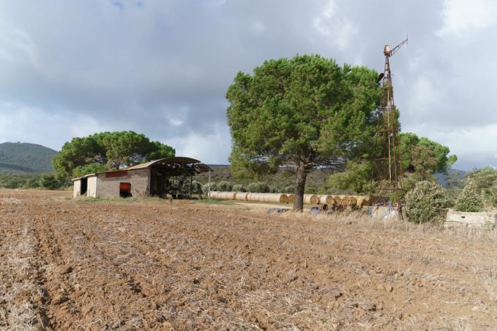Image No.52-Maison de campagne de 3 chambres à vendre à Magliano in Toscana