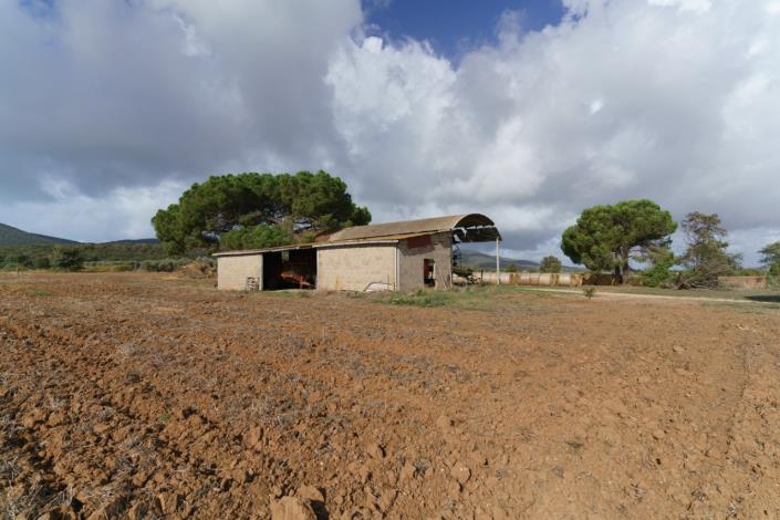 Image No.53-Maison de campagne de 3 chambres à vendre à Magliano in Toscana