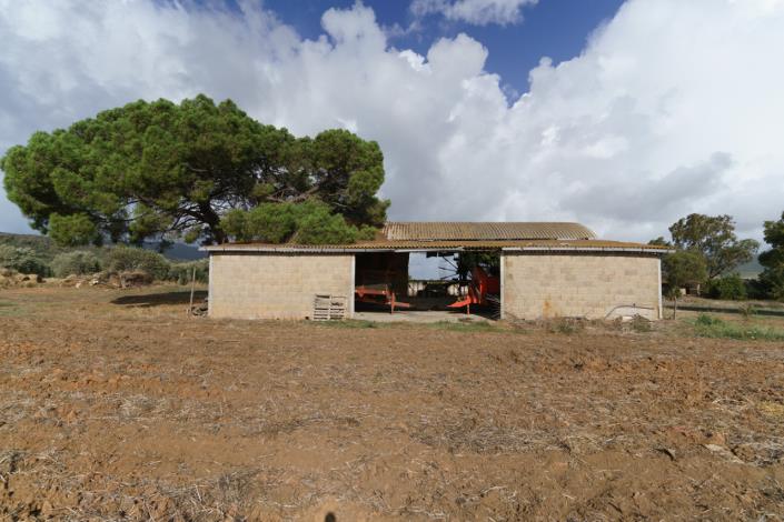 Image No.54-Maison de campagne de 3 chambres à vendre à Magliano in Toscana