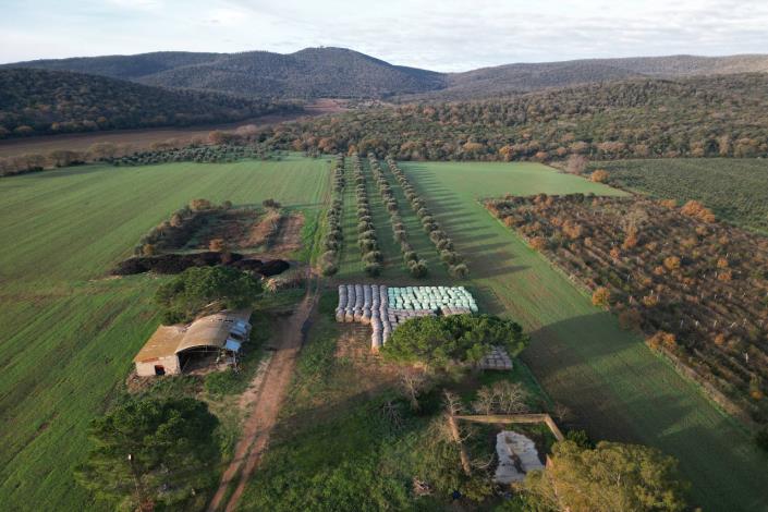 Image No.55-Maison de campagne de 3 chambres à vendre à Magliano in Toscana