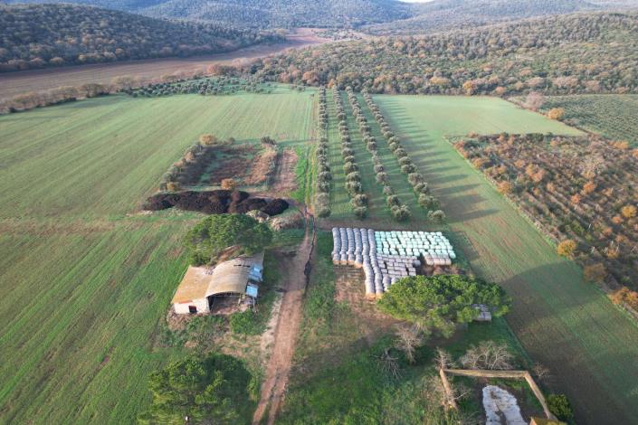 Image No.56-Maison de campagne de 3 chambres à vendre à Magliano in Toscana