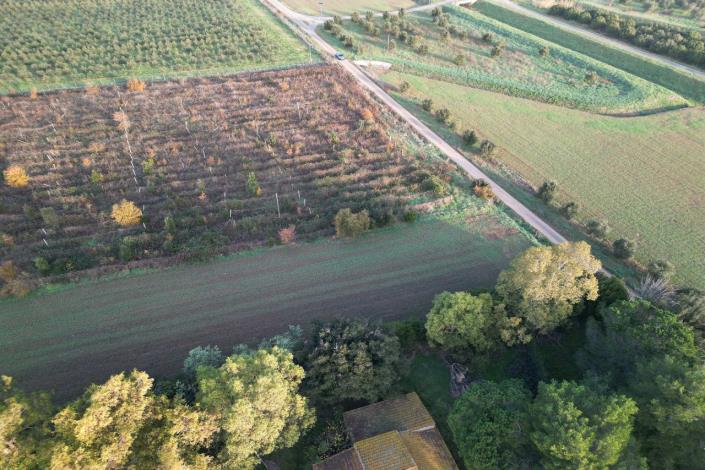Image No.57-Maison de campagne de 3 chambres à vendre à Magliano in Toscana
