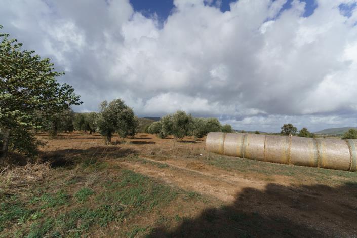 Image No.58-Maison de campagne de 3 chambres à vendre à Magliano in Toscana