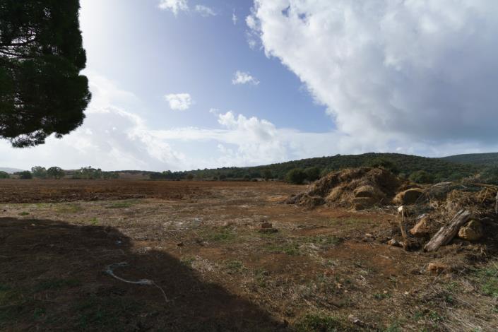 Image No.59-Maison de campagne de 3 chambres à vendre à Magliano in Toscana