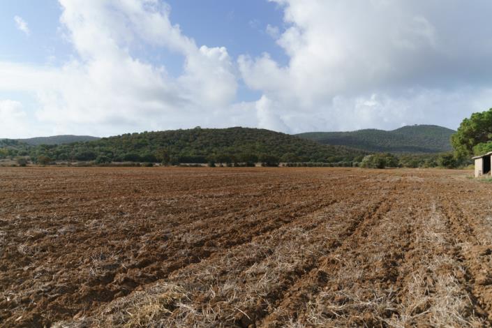 Image No.60-Maison de campagne de 3 chambres à vendre à Magliano in Toscana