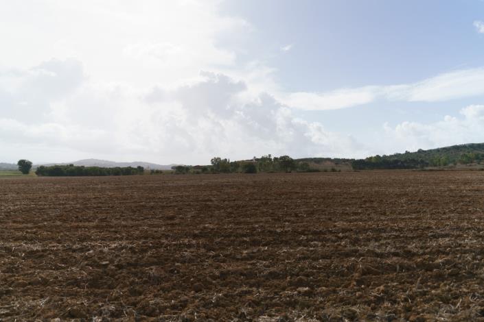Image No.61-Maison de campagne de 3 chambres à vendre à Magliano in Toscana