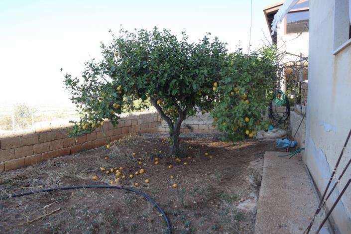 Image No.51-2 Bed House/Villa for sale