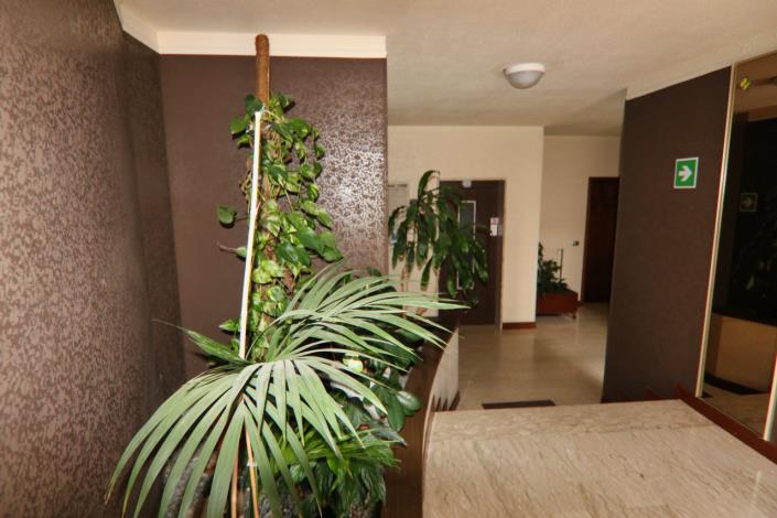 Image No.50-Appartement de 1 chambre à vendre à San Remo