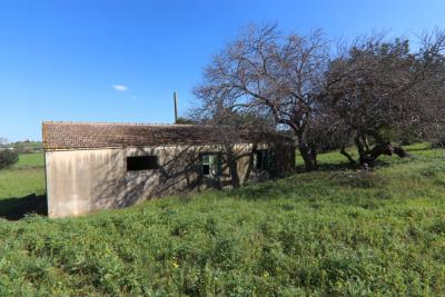 009__facciata_retro_1_jpg