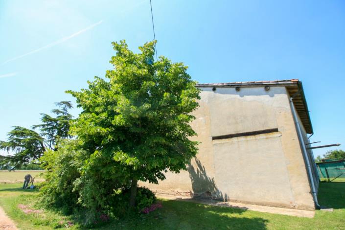 Image No.12-Maison de campagne de 3 chambres à vendre à Casale Monferrato