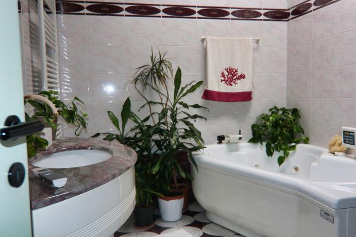 Image No.36-Duplex de 2 chambres à vendre à Trento