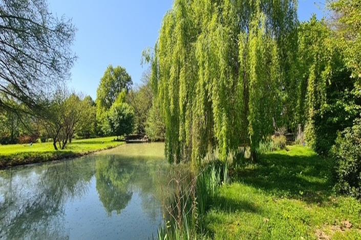 Image No.27-Maison de campagne de 4 chambres à vendre à Trévise
